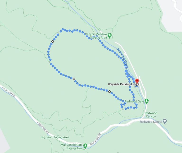 Top 105+ Images reinhardt redwood regional park trail map Excellent